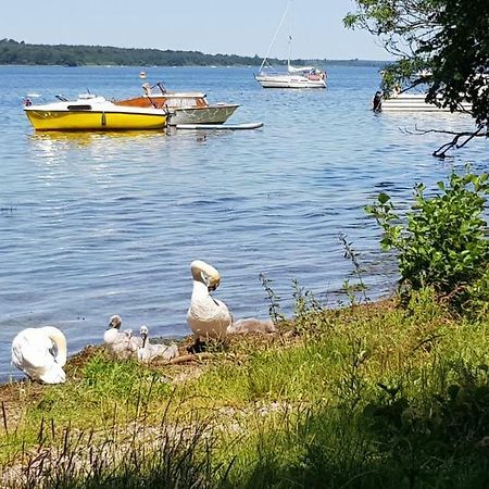 Ferienwohnung Am Schweriner See Raben Steinfeld Экстерьер фото