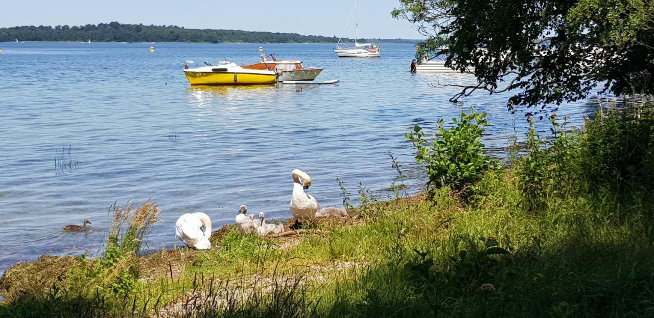 Ferienwohnung Am Schweriner See Raben Steinfeld Экстерьер фото